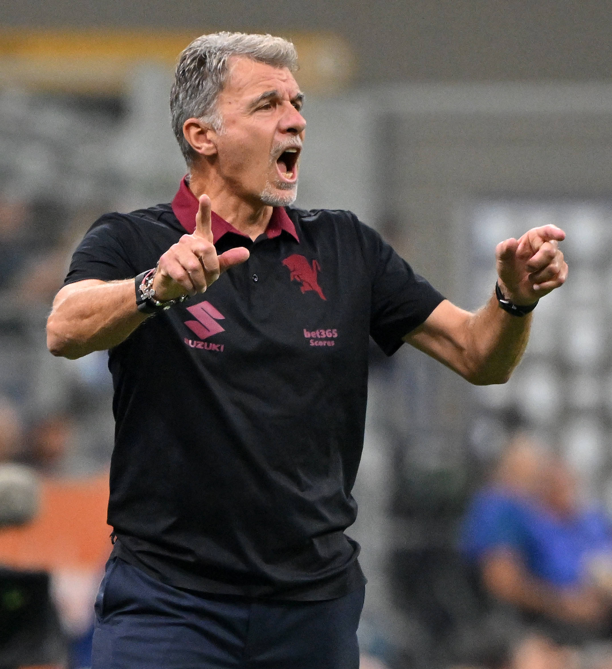 （体育）足球——意甲：国际米兰胜都灵