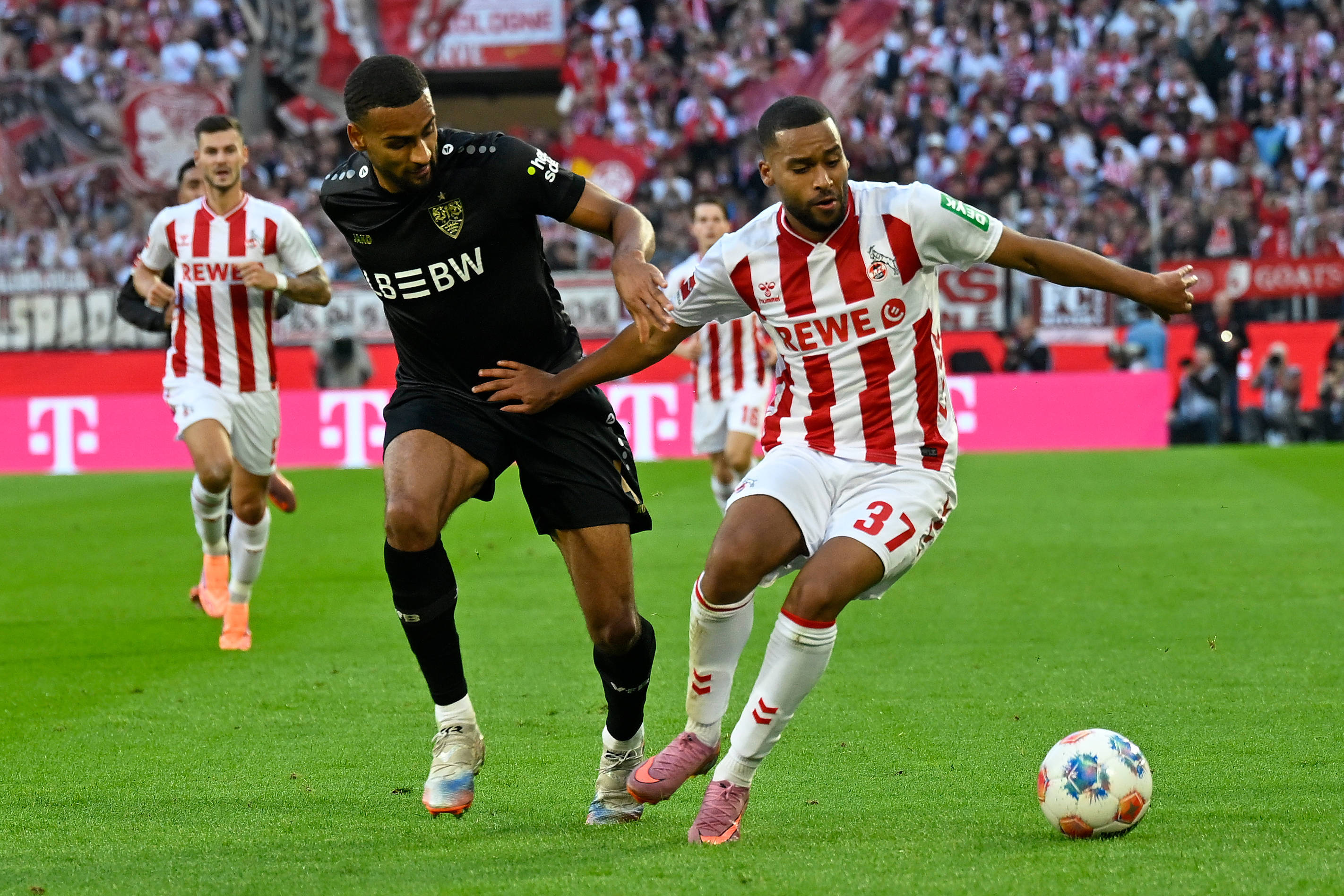 (体育)足球——德甲:斯图加特胜科隆