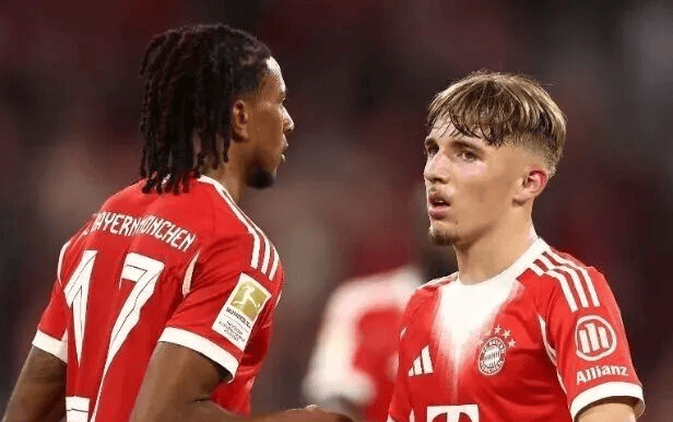 海登海姆vs拜(bài)仁